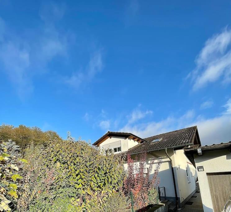 Modernes Apartment Mit Top Ausstattung Und Kamin Im Oberpfaelzer Seenland Nittenau Екстер'єр фото