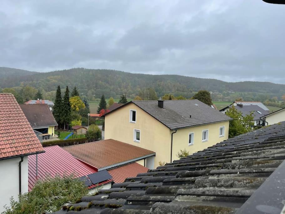 Modernes Apartment Mit Top Ausstattung Und Kamin Im Oberpfaelzer Seenland Nittenau Екстер'єр фото